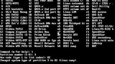 Creating Swap Partition.avi