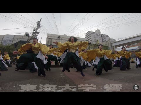 東海大学 響 湘南ひらつかスターライトフェスティバル2018