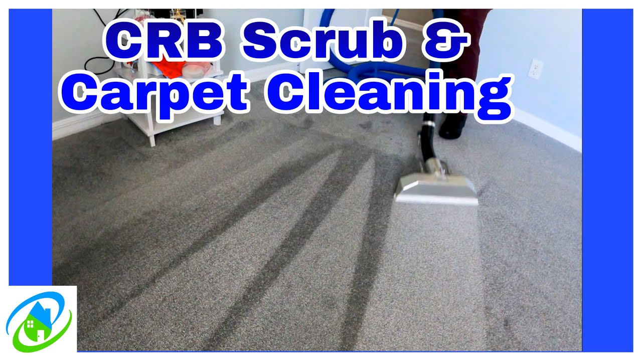 Beautiful Blue Carpet Cleaning CRB Scrub & Hot Water Extraction YouTube