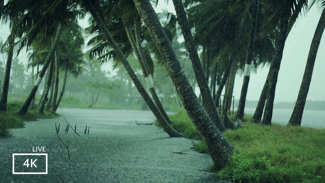 Rain and Thunder Sounds for  Relaxation| Thunderstorm Sound Effect with Rain | ASMR Sounds