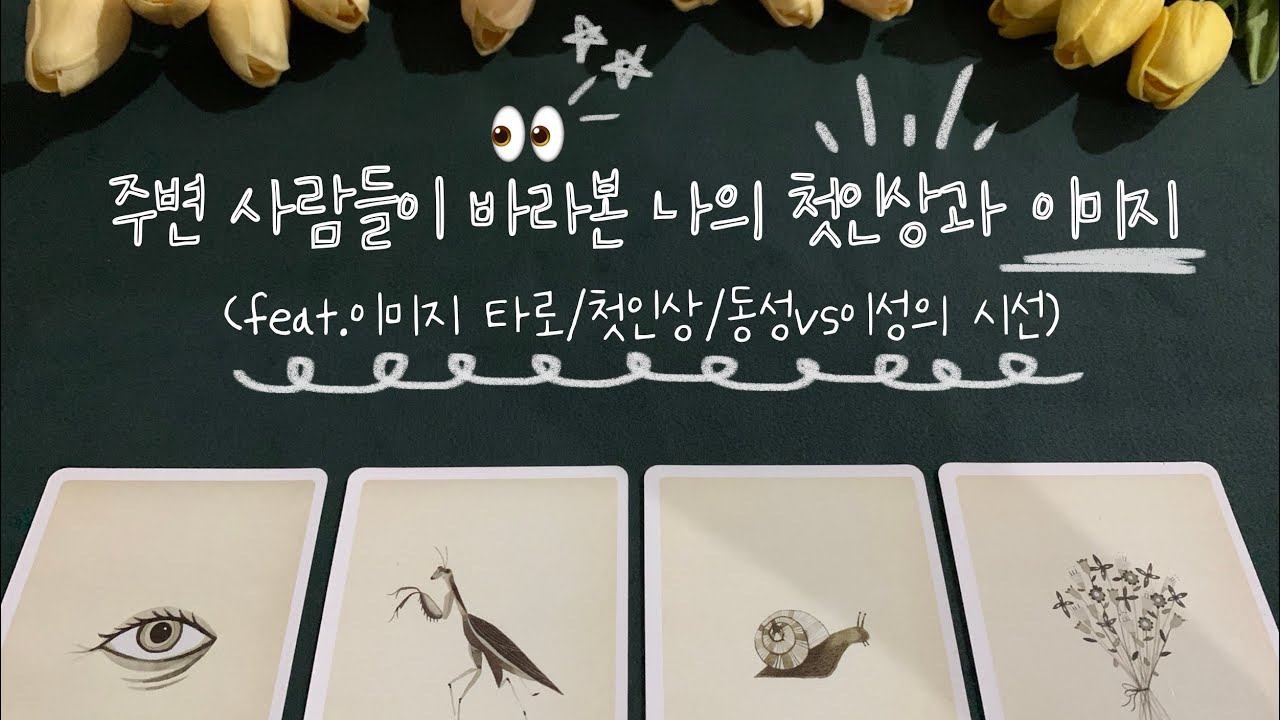 타로 | 주변 사람들이 바라본 나의 첫인상과 이미지(feat.이미지 타로/첫인상/동성vs이성의 시선👀)