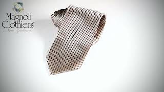 Bolivia Champagne tie by Magnoli Clothiers