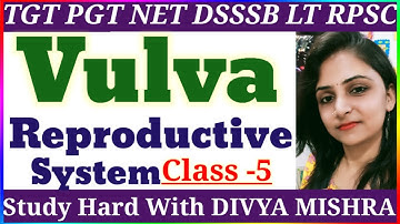 Female reproductive system || TGT PGT NET DSSSB LT RPSC HOME SCIENCE CLASSES BY DIVYA MISHRA
