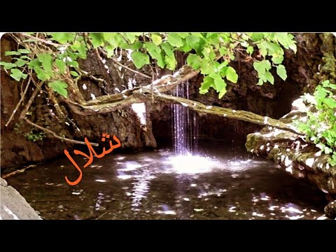 مغامرة في أحضان الطبيعة اكتشاف شلالات ساحرة