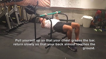 Equalizer Overhand Grip Inverted Row with Body Bar