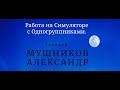 Связь Тайм-Фреймов и Контекст. Проторговка истории Доллар с Одногруппниками.