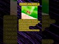 Mosquito 2 - Febre amarela
