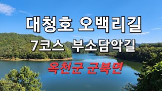 대청호오백리길 7코스(부소담악길) 영상