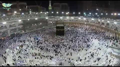 تلاوة من سورة الحج بصوت القارئ - جميل