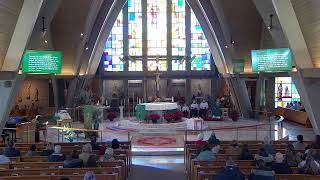 St. George Catholic Church Sunday Mass Feb. 1st, 2026