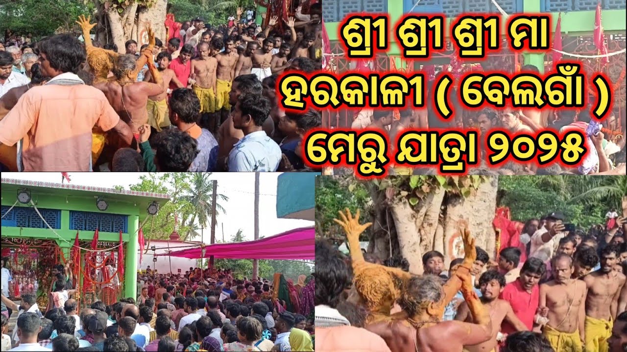 ଶ୍ରୀ ଶ୍ରୀ ଶ୍ରୀ ମା ହରକାଳୀ (ବେଲଗାଁ) ଙ୍କ ମେରୁ ଯାତ୍ରା ୨୦୨୫ | Maa Harakali Bellagam Meru Jatra 2025