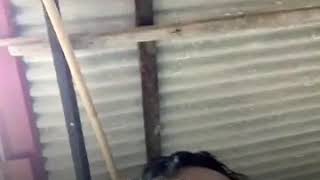 Download Lagu Sahara ..coba 2 MP3