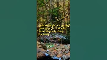 #أَمْ يَحْسُدُونَ النَّاسَ عَلَىٰ مَا آتَاهُمُ اللَّهُ مِن فَضْلِهِ #تلاوه من سورة النساء #ارح_سمعك