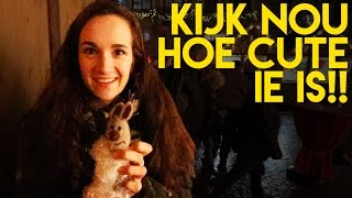 We gaan naar Duitsland! (KERST SPECIAL) - KOEN DATE ROOS #9 screenshot 2