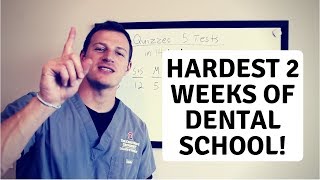 Hardest 2 weeks of Dental School || 4 quizzes 5 tests!