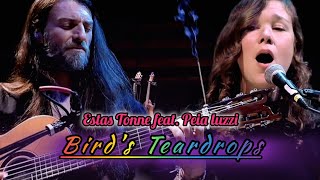 Estas Tonne feat. Peia Luzzi | Bird's Teardrops