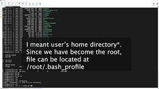 20   Vertias Commands from anywhere in the terminal