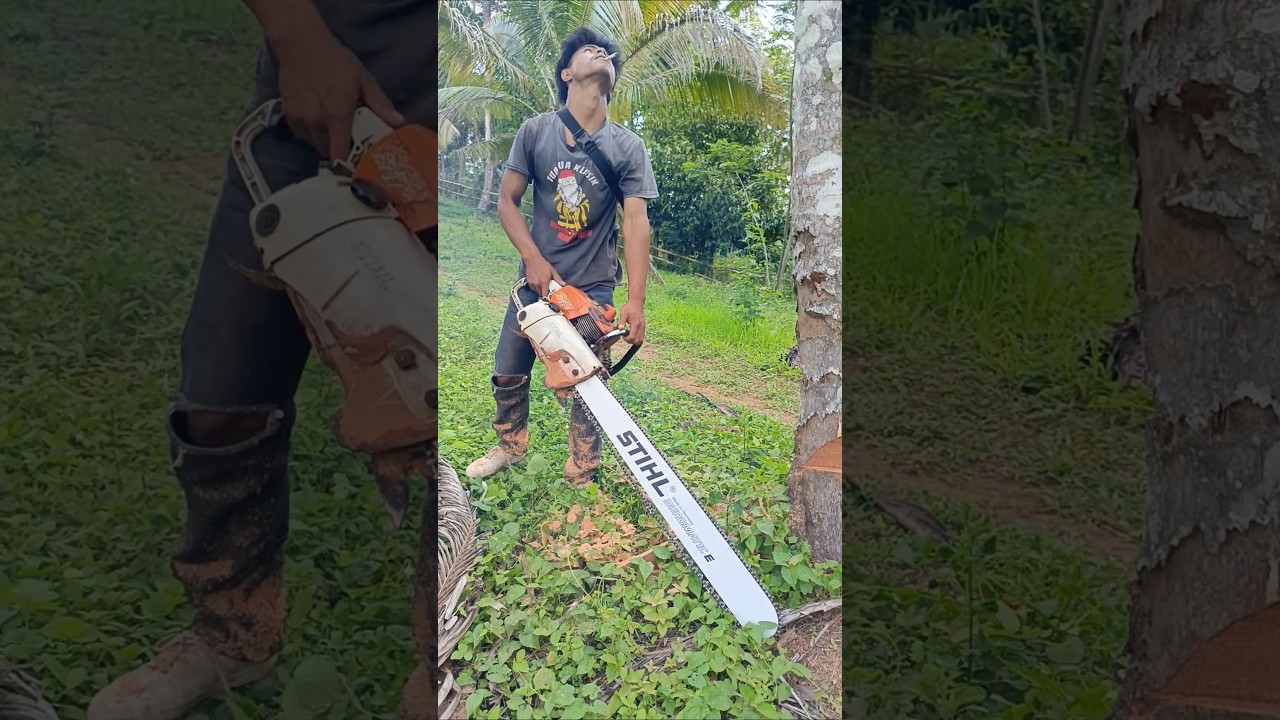 Stihl Dorma Chainsaw 36"