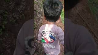 തോട്ടത്തിലേക്ക്😊#villagelife#farming#rubberplants#rubber