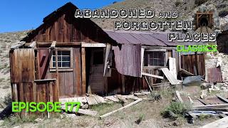 Martha Stewart Would Be Proud of This Old Miner's Cabin