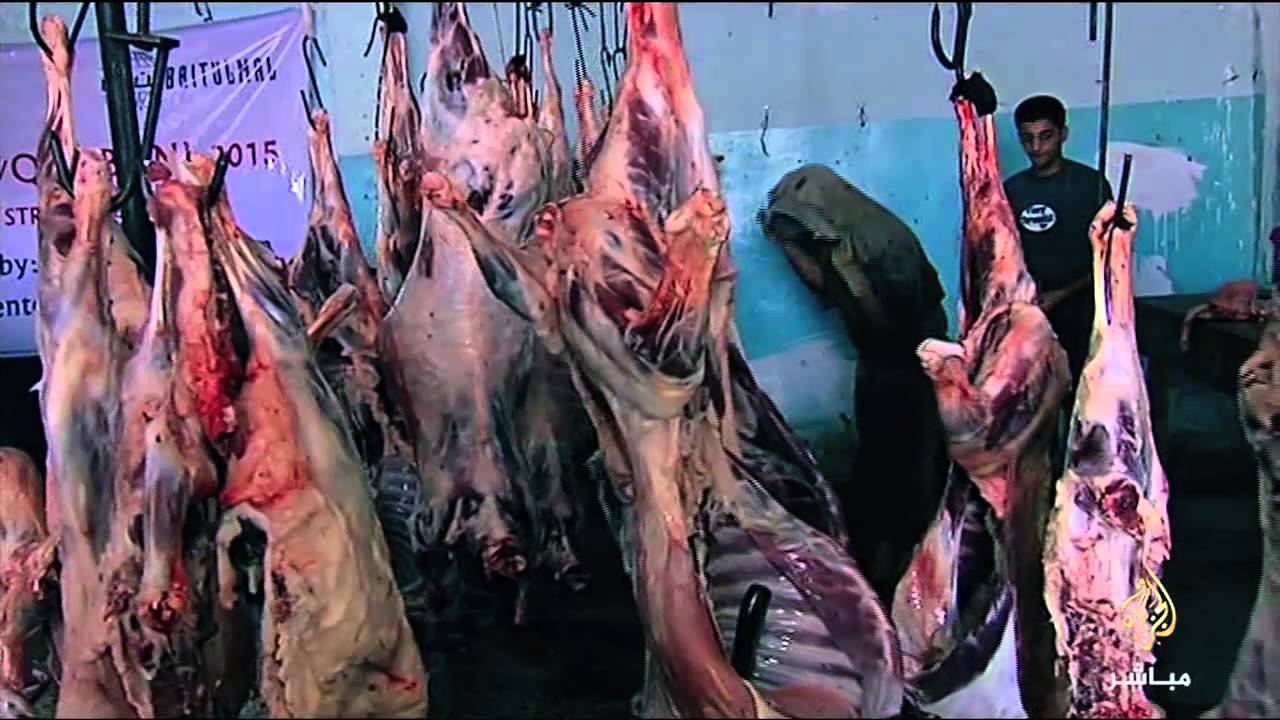 جولة لكاميرا الجزيرة مباشر داخل أحد المجازر في غزة