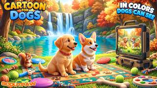 🔴 Autumn Dog Cartoon for Puppies Home Alone 🍁🐶 Dog Cartoon TV All-Day Entertain with Relax Music