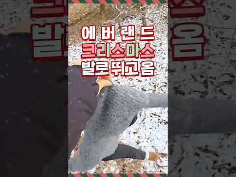냅다 크리스마스로 달려｜#shorts #후드잡샷 #에버랜드