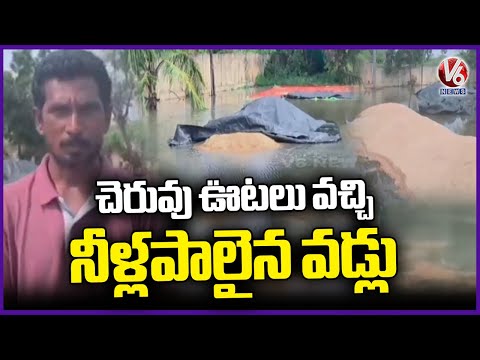 Farmers Distress After Rain Damage Paddy at Manthani Market | V6 News - V6NEWSTELUGU
