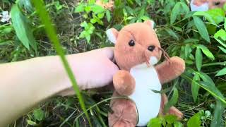 deciduous forest documentary ap enviro