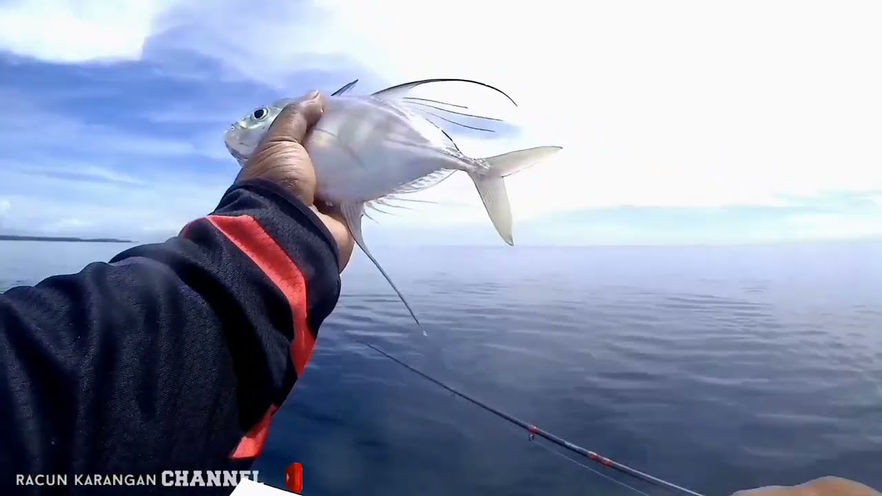 UL JIGING dekat pantai pakai micro jig 15 gram sangat efektif saat air laut seperti kaca