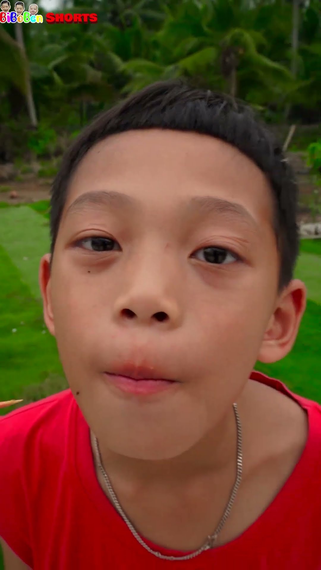 BiBoBen Shorts | Funny video | Cute