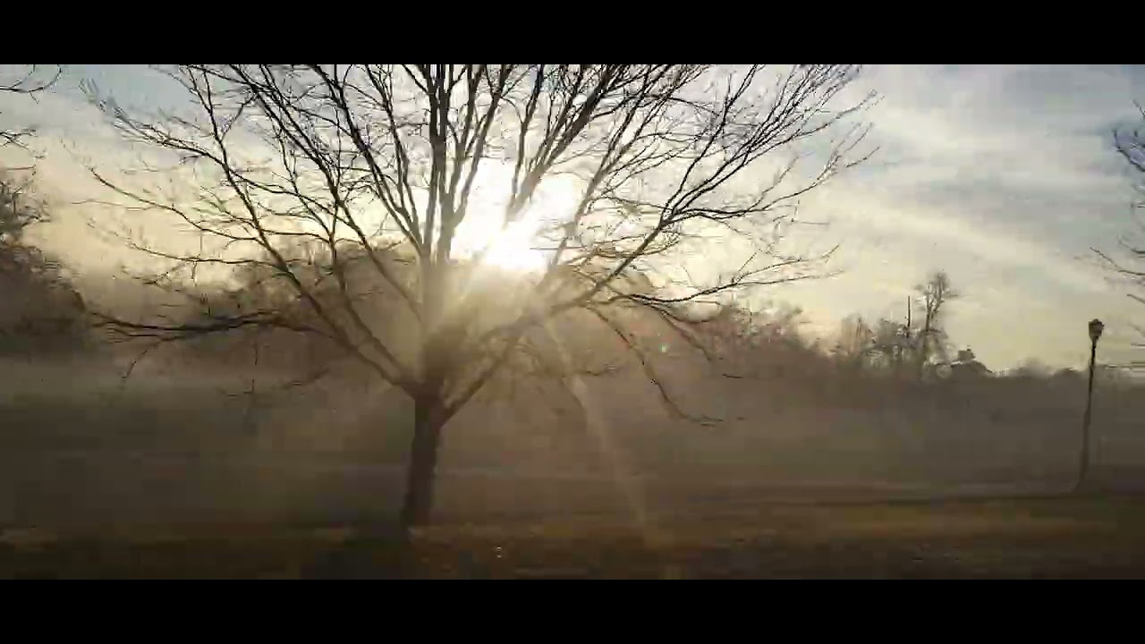 Loose Park fog December 2025