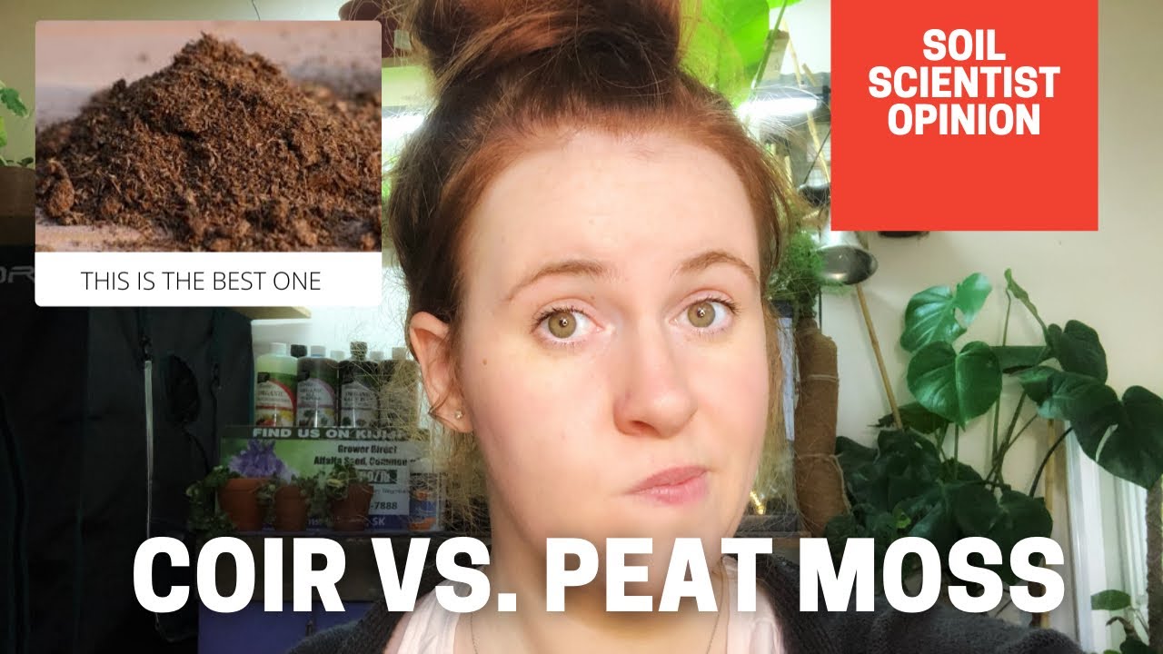 SPHAGNUM MOSS vs PEAT MOSS? Grow Your Rare Houseplants Correctly