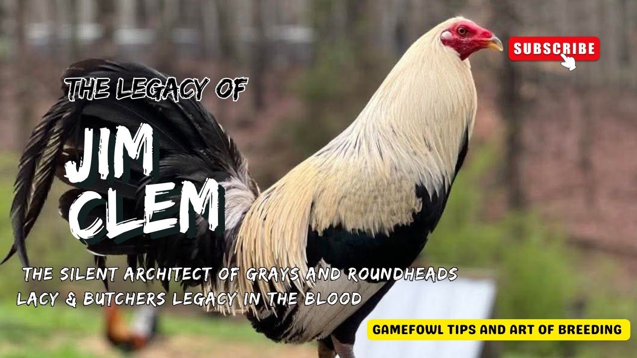 Jim Clem: The Silent Architect of Grays and Roundheads | Lacy & Butcher Legacy in the Blood