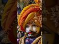 🙏🏻❣️Khatu Shyam 💕👏🏻#bhakti #shorts #ytshorts #youtube #youtubeshorts #viral #views #funny #song