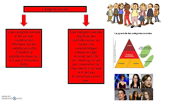 Qu'est-ce que le travail d'équipe dans le social ?