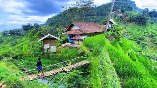 DIJAMIN BETAH😍 MENIKMATI HIDUP DI KAMPUNG YANG INDAH ALAM DESANYA, SUASANANYA ADEM, AYEM \u0026 TENTRAM