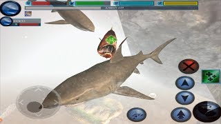 Furious Great White Shark VS Angry Deep sea Fangtooth Boss Fish, Ultimate Shark simulator