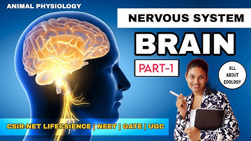 HUMAN BRAIN - NERVOUS SYSTEM || ANIMAL PHYSIOLOGY || CSIR-NET LIFECSIENCES 