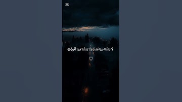 أكتب شيء تؤجر عليه تلاوة قرانية عطرة تريح قلبك