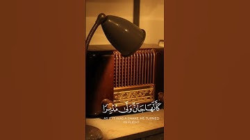تلاوه ماتيسر من آيات سوره القصص بصوت القارئ #محمد_الشناوي #قران_كريم #ارح_قلبك