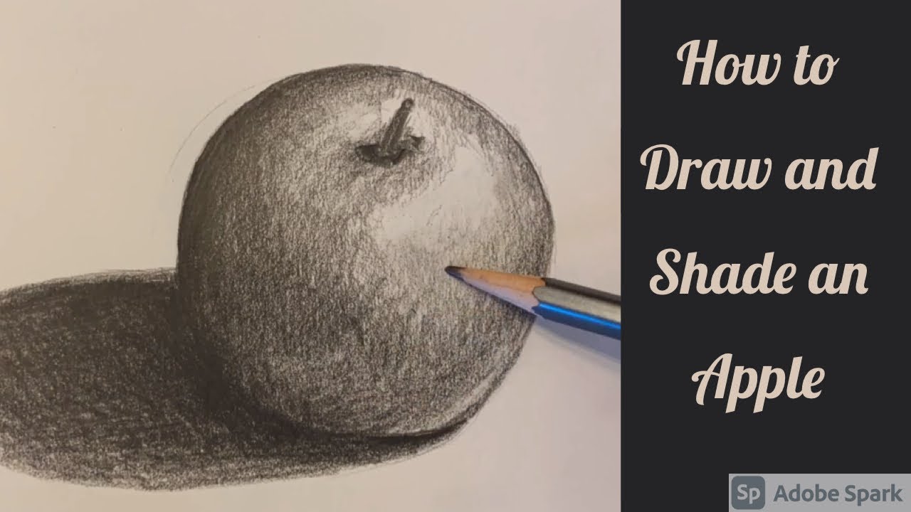 Apple drawing Still life | Shadow drawing, Easy drawings sketches,  Realistic sketch