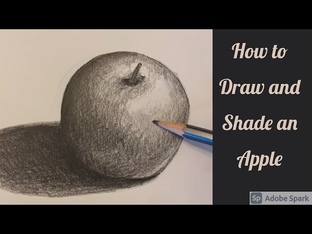 how to draw the realistic apple｜TikTok Search