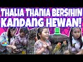 THALIA SIDAK HEWAN PELIHARAAN‼️THANIA BERSIHIN KANDANG⁉️