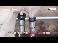 착유전 착유우 관리방법 2 착유 기본 원리 착유전 착유우 관리방법 2 착유 기본 원리