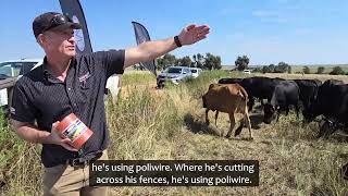 Strip Grazing Practical demonstration