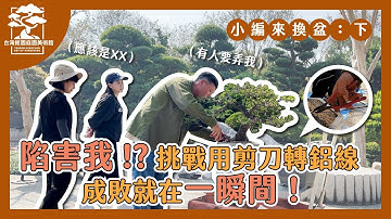 陷害我！？竟要挑戰用剪刀轉鋁線，成敗就在一瞬間，小編來換盆第二彈！《小編來換盆：下》Challenge to Repot a Bonsai Tree｜台灣銘園庭園美術館