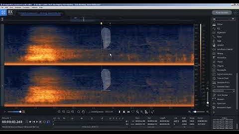 Izotope Rx 8 - Clean The Bird