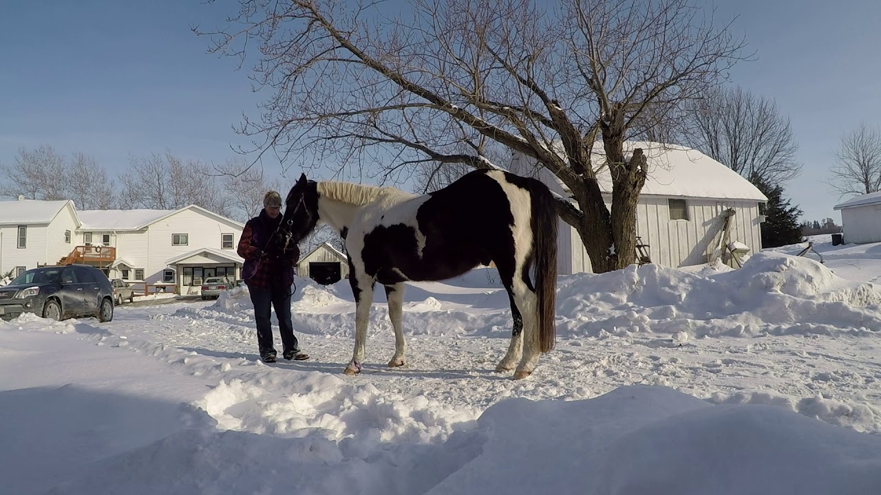 Modys Riding for Lightness   1