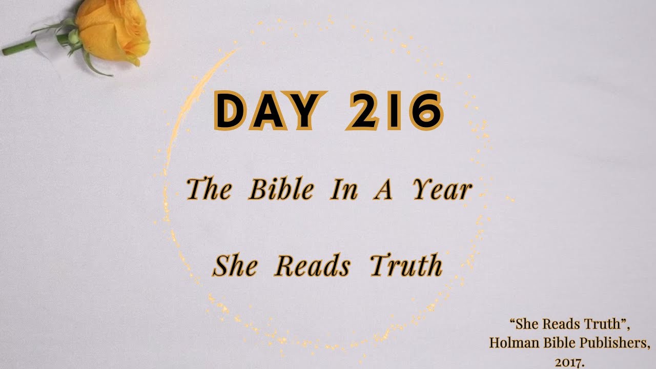 Day 216 - YouTube